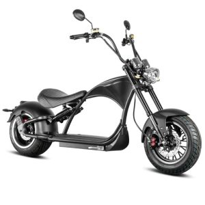 Citycoco M1 upgrade version M1P Scooter 2000W 30A