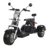 Citycoco fat tire, 3 wheel trike motorcycle