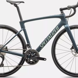 Roubaix SL8 Endurance Bike